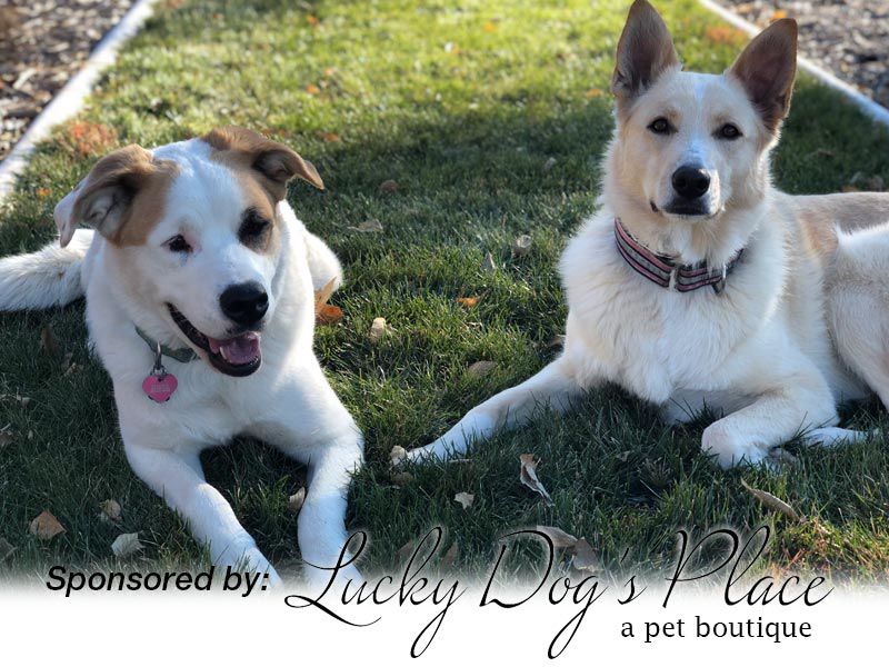 Remington & Rogue